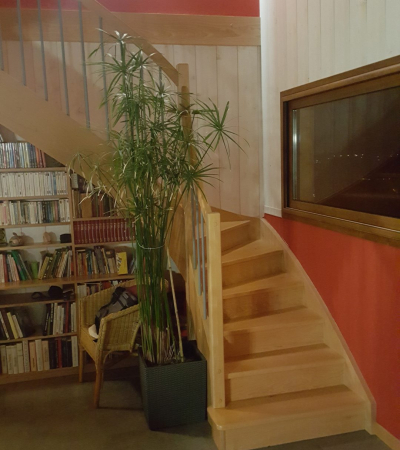 escaliers en bois